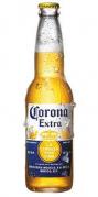 Corona - Extra (24 pack bottles)