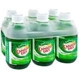 Canada Dry Ginger Ale 10oz 6pk 0