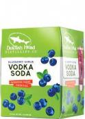 Dogfish Head - Vodka Soda 4pk Cans 0 (44)