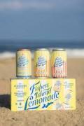 Fishers Island - Lemonade Variety 8pk Cans (883)